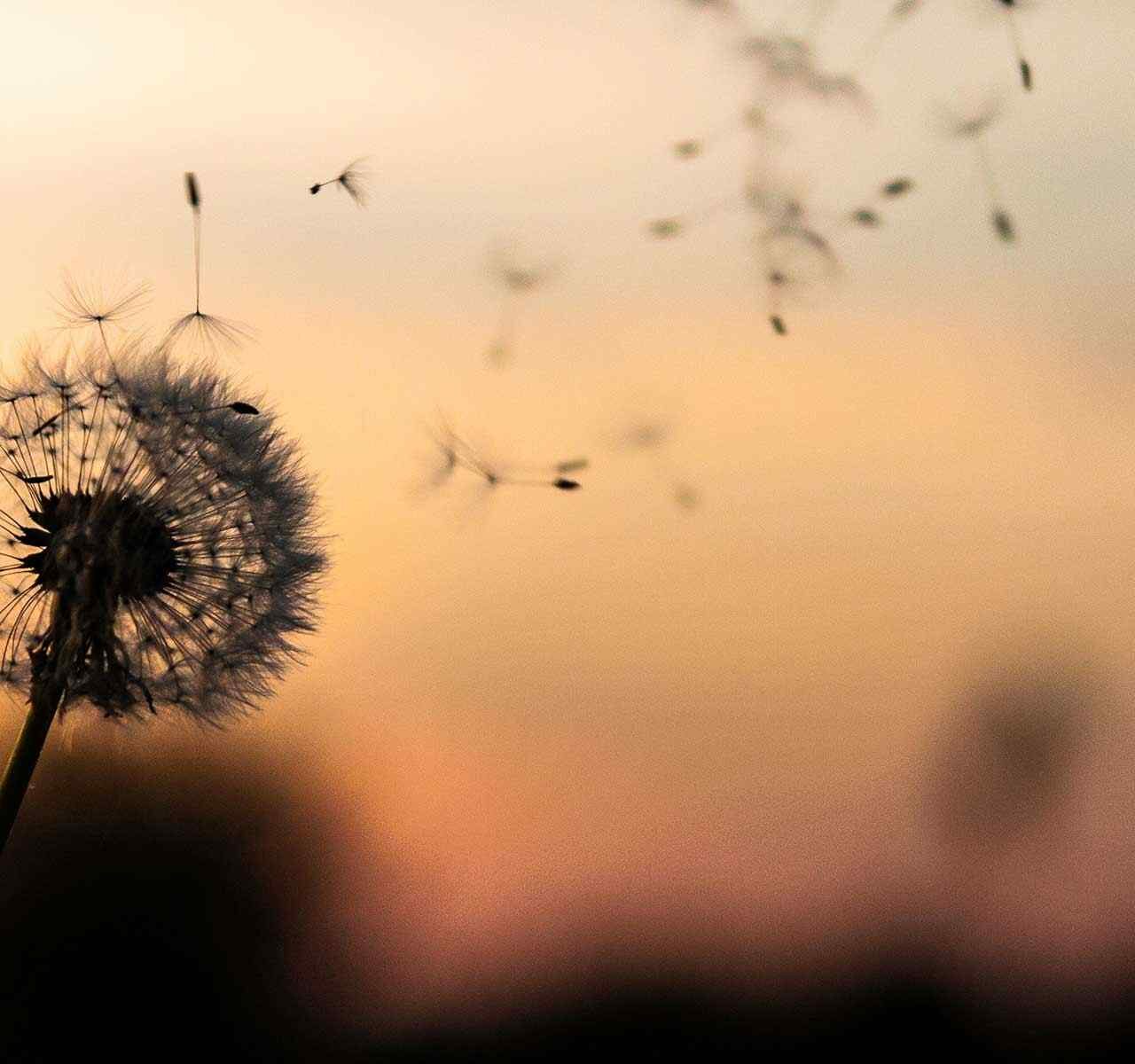 https://migrationbarrister.com.au/wp-content/uploads/2018/09/post_02-1280x1200.jpg